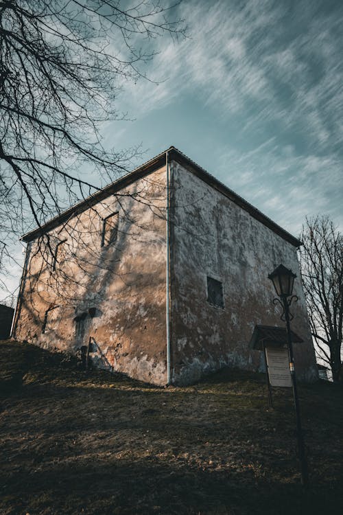 An old building with a tree in front of it