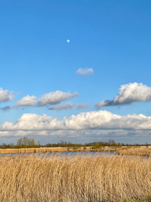 Gratis stockfoto met blauwe lucht, wolken