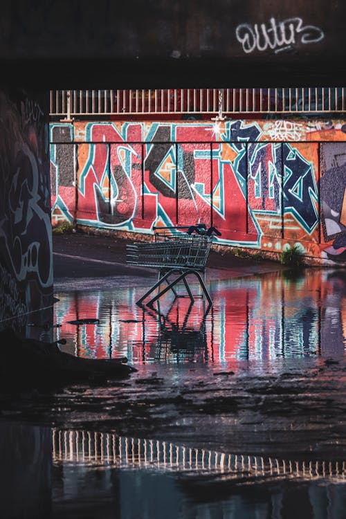Graffiti under a bridge with a shopping cart