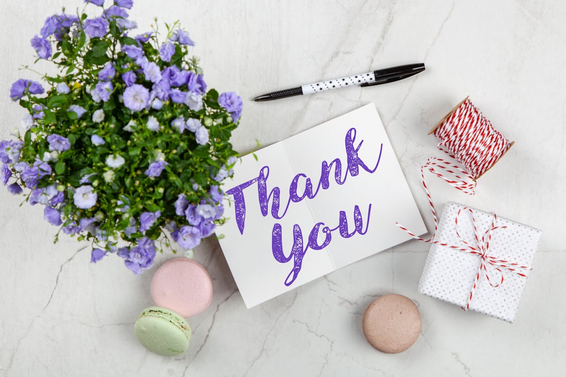 Free Purple Petaled Flower and Thank You Card Stock Photo