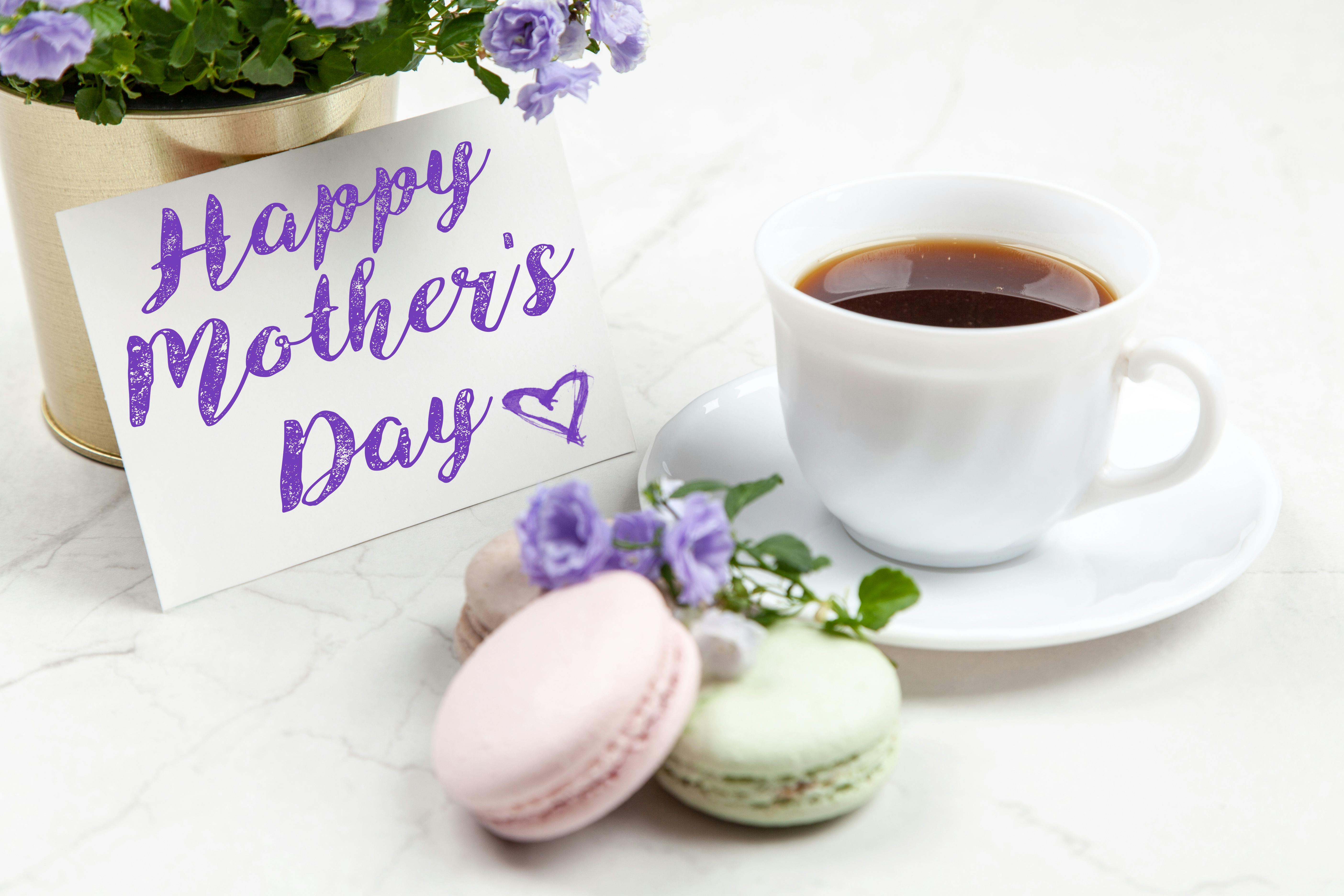 Mother's Day Photos, Download The BEST Free Mother's Day Stock Photos & HD  Images