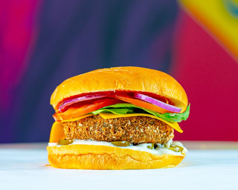 Microbial-Derived Texturizing Proteins for Plant Meat
