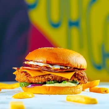 Appetizing crispy chicken sandwich with cheddar cheese and fries in a colorful setting.