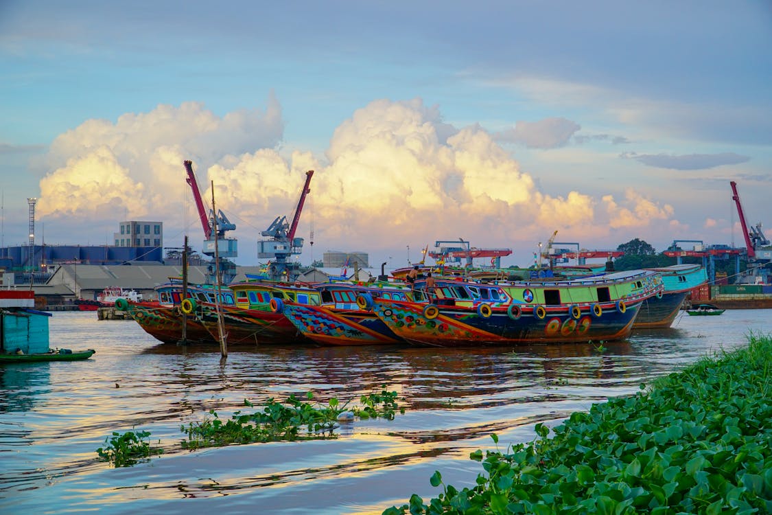 A group of colorful boats are docked in a river