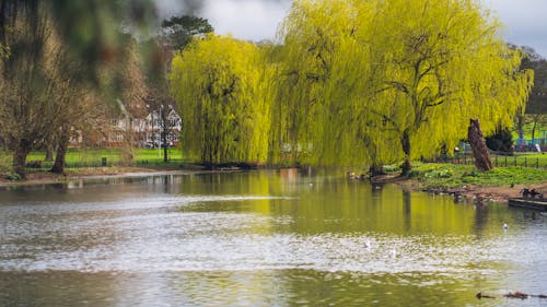 Wardown Park, Luton