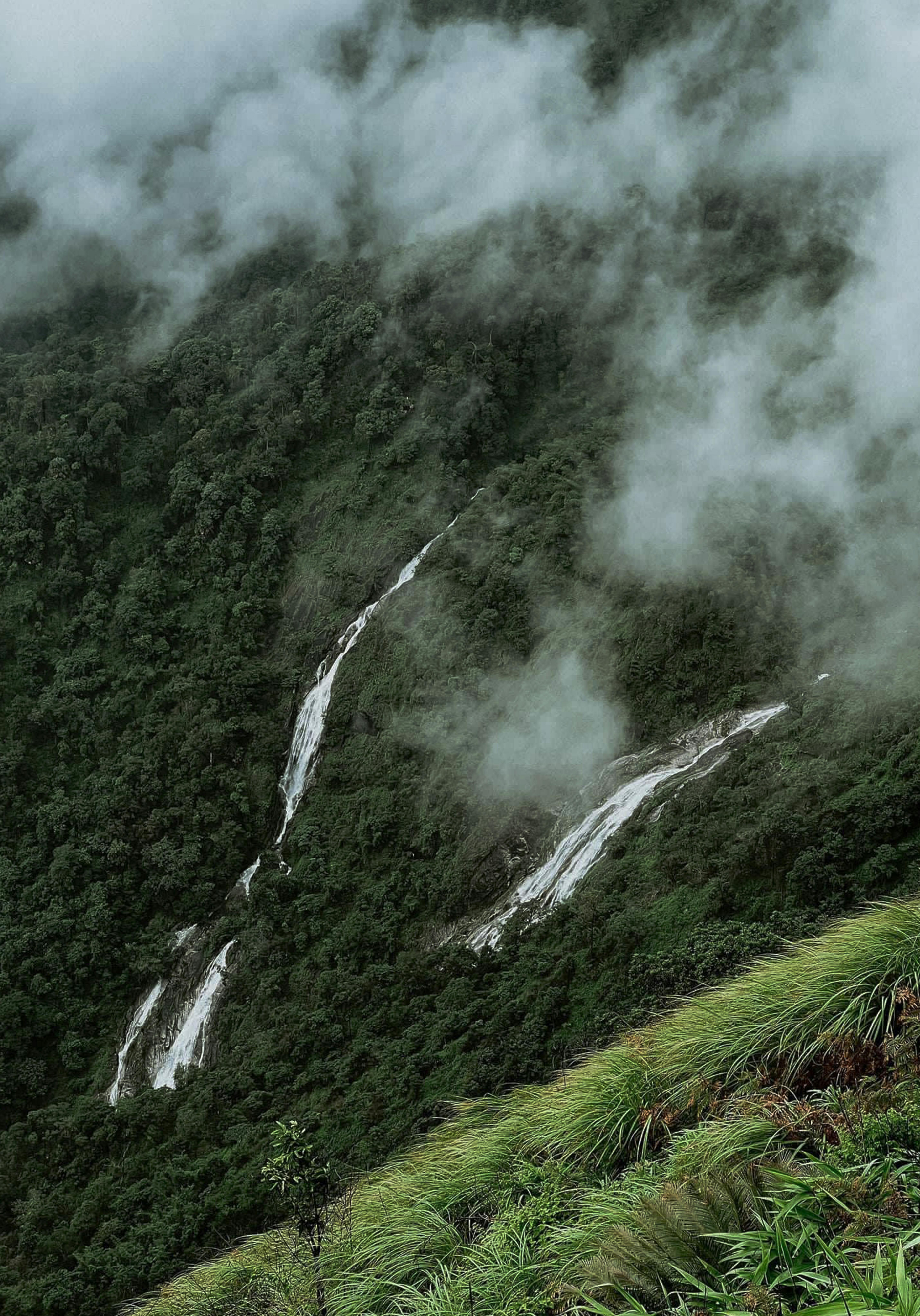Serene forest landscape with cascading waterfalls and misty, fog-laden mountains in a rural setting.