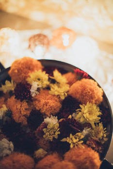 碗中各种花朵的彩色特写，着重展现纹理与色调