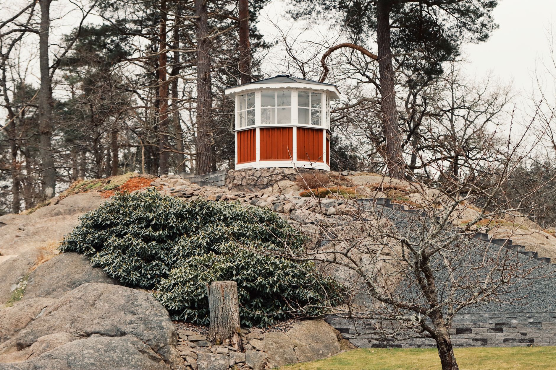 Lasse Selvåg Nordås