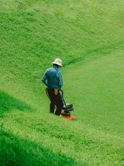 Back View of Man Lawn Mowing