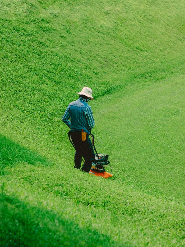 Weekly lawn mowing service