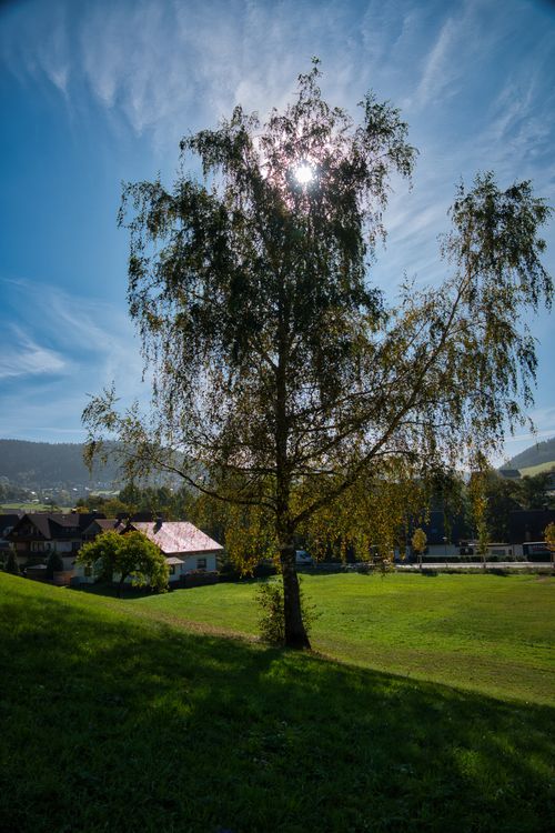 Free Sunny day in Baiersbronn countryside with tree silhouette and traditional houses. Stock Photo