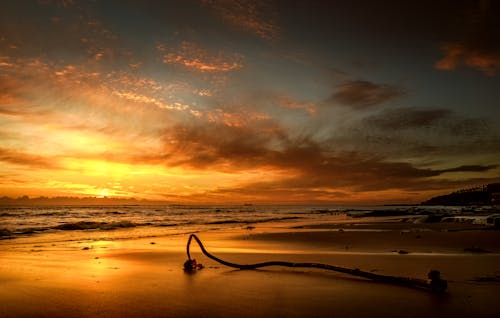 原本, 日落, 海 的 免費圖庫相片