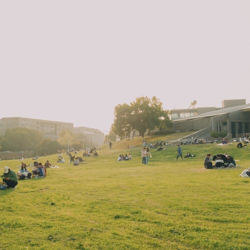 People are sitting on the grass in front of a building