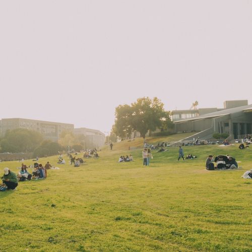 Free A serene park scene with people enjoying a sunny day on the grass, surrounded by trees and modern buildings. Stock Photo