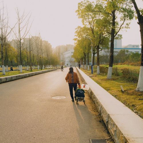Free A person strolls along a sunlit urban park pathway pulling a trailer, surrounded by spring greenery. Stock Photo
