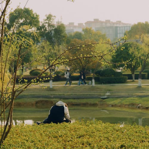 A person sitting on a bench in a park