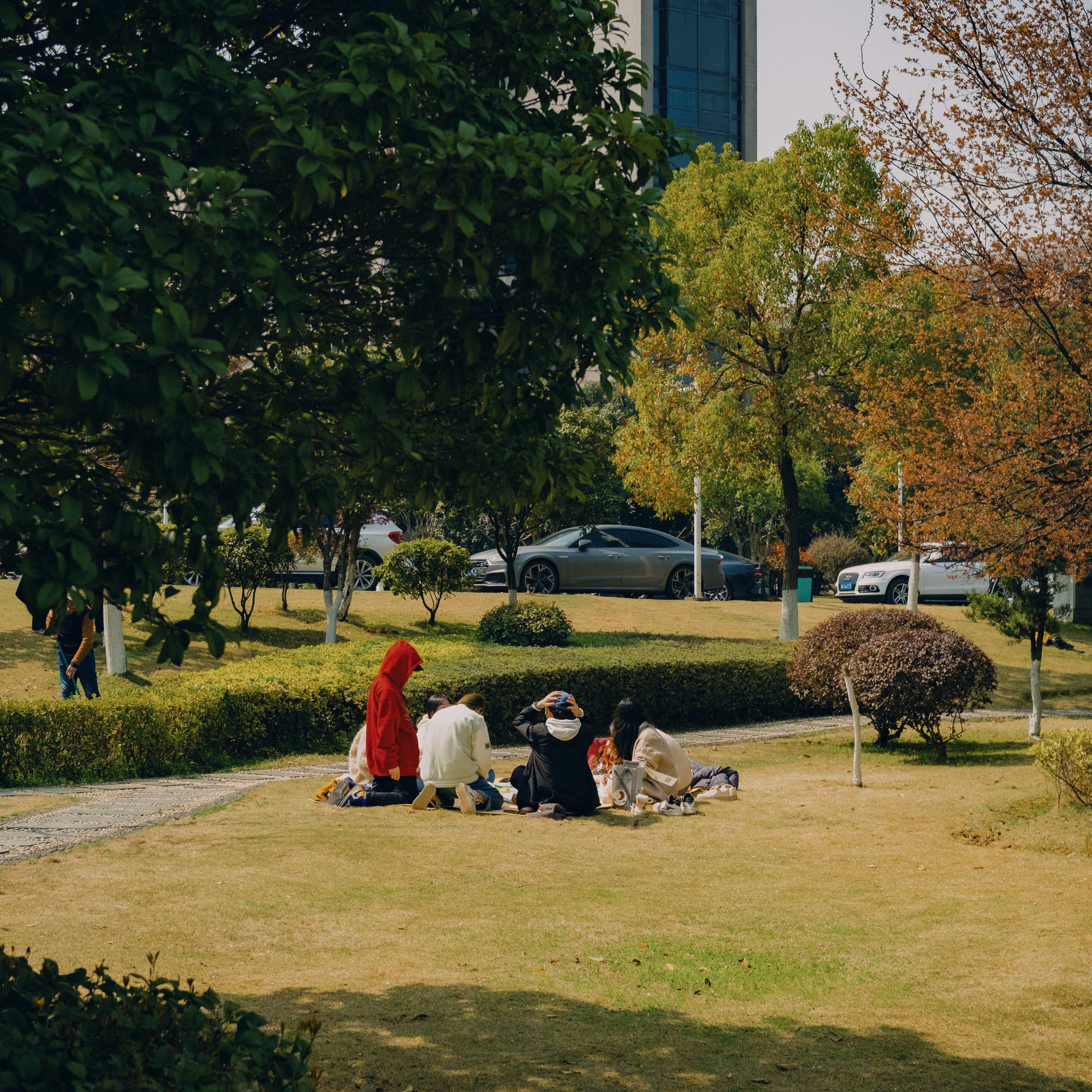 A group of adults relaxing on a grassy park area in a city setting. Sunny day in the fall.