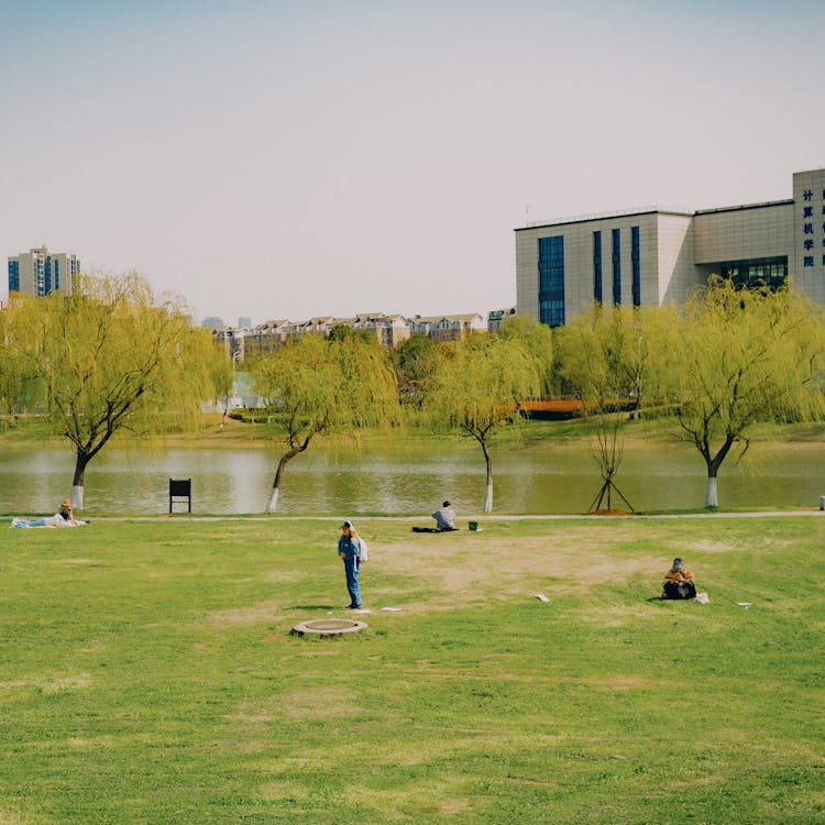 Imagine de stoc gratuită din arbori, arc, copaci