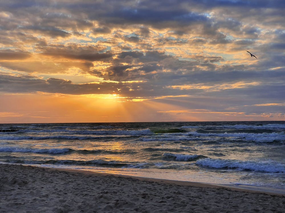 Безкоштовне стокове фото на тему «Захід сонця, махати, море»