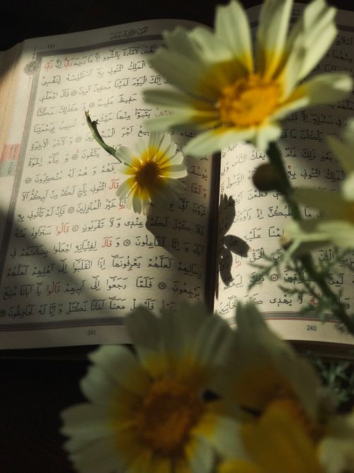 Free Open Arabic book with daisies casting shadows, creating a serene and spiritual atmosphere. Stock Photo