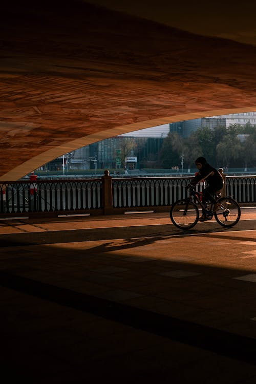 Foto profissional grátis de andar a cavalo, beira-rio, bicicleta