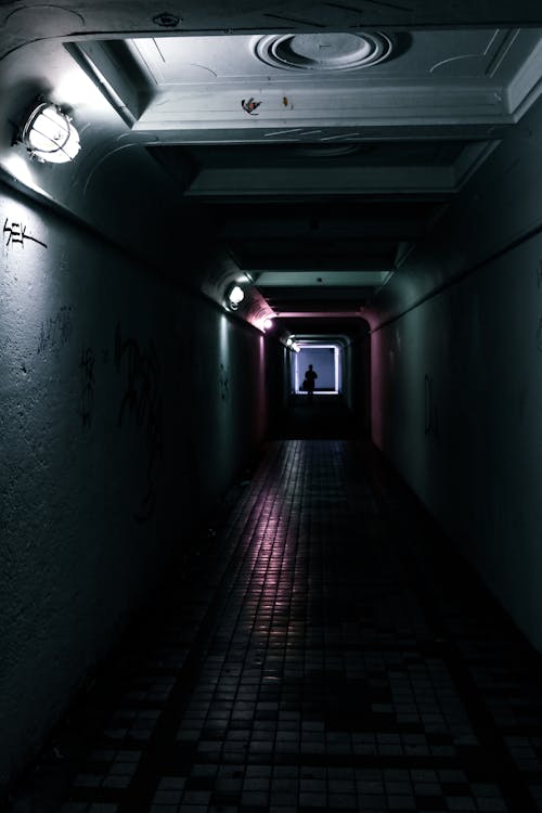 Person in Illuminated Walkway