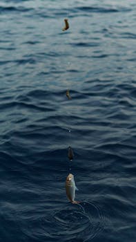Close-up of fishing hook with fish in ocean, showcasing water ripples and fishing techniques.