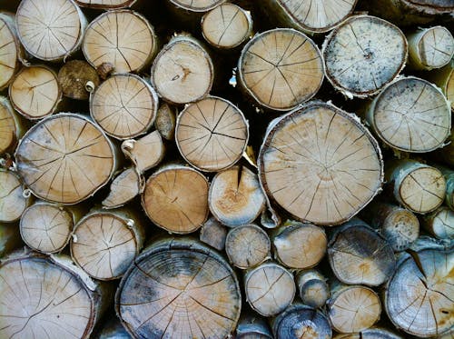 Pile of Brown Logs