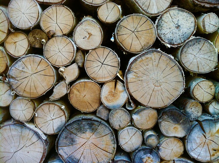 Pile Of Brown Logs