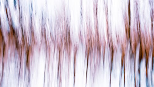 Darmowe zdjęcie z galerii z abstrakcyjna scena przyrodnicza, abstrakcyjny, drzewa o miękkiej ostrości