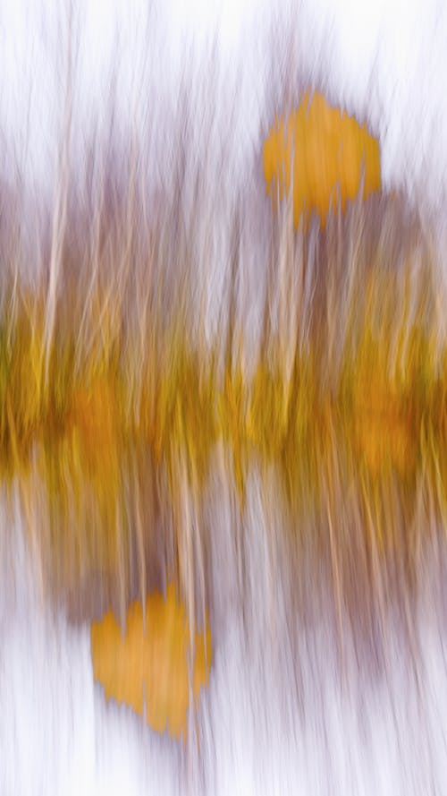 Gratis stockfoto met abstract, abstract berkenbos, abstract expressionisme