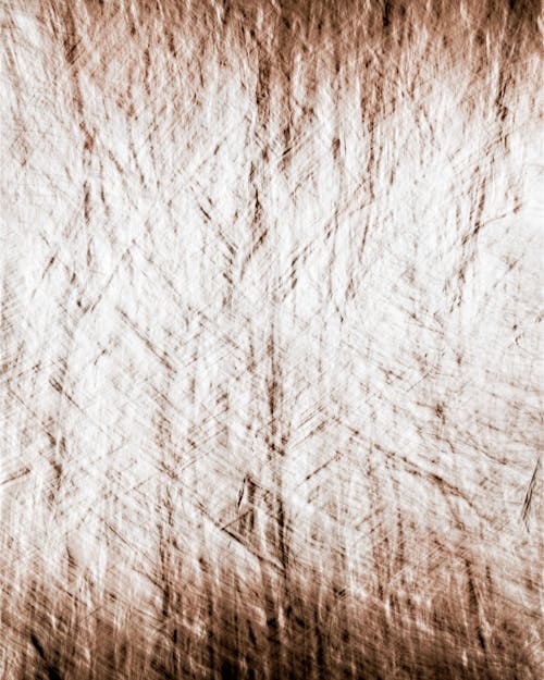 Darmowe zdjęcie z galerii z abstrakcja brzozy, abstrakcyjna scena przyrodnicza, abstrakcyjny