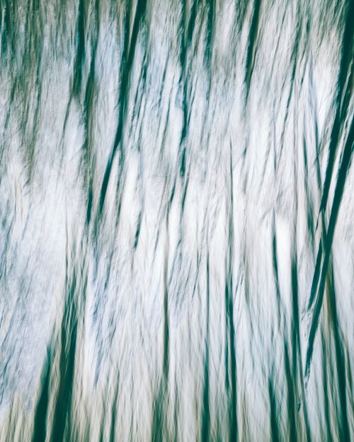 Free A visually captivating abstract image featuring blurred vertical lines in a natural setting, perfect for artistic inspiration. Stock Photo