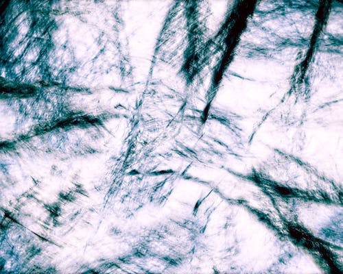 Fotobanka s bezplatnými fotkami na tému abstrakcia brezy, abstraktná prírodná scéna, abstraktné umenie