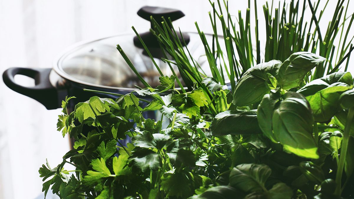 Créer un jardin dherbes aromatiques en intérieur : guide pratique 2026 - illustration