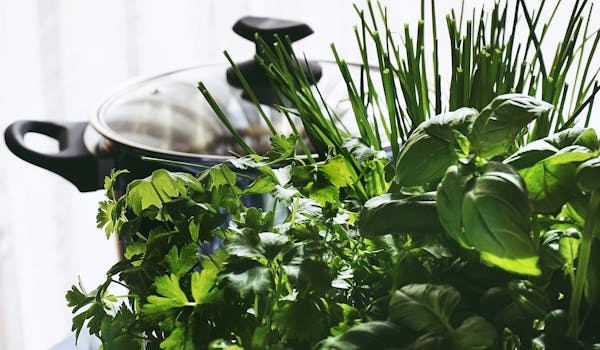 Fresh basil leaves image 3