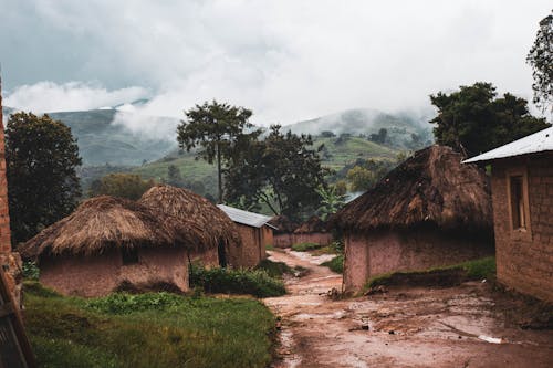 A dirt road with thatched huts and grass
