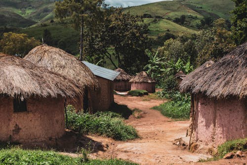 A village with thatched huts and dirt roads