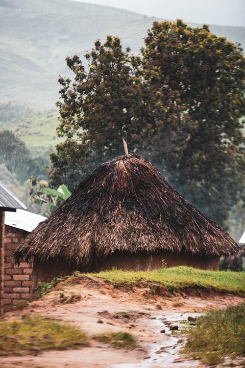 A man walking down a dirt road with a thatched roof