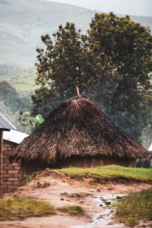 Free A serene rural scene featuring a thatched roof cottage amidst lush greenery and rolling hills. Stock Photo