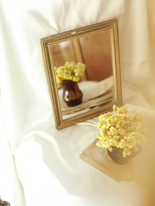 Foto stok gratis bejana, bunga-bunga, cermin