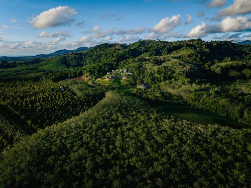 Free Stunning aerial view of verdant hills and farmlands in Taiwan under a blue sky. Stock Photo