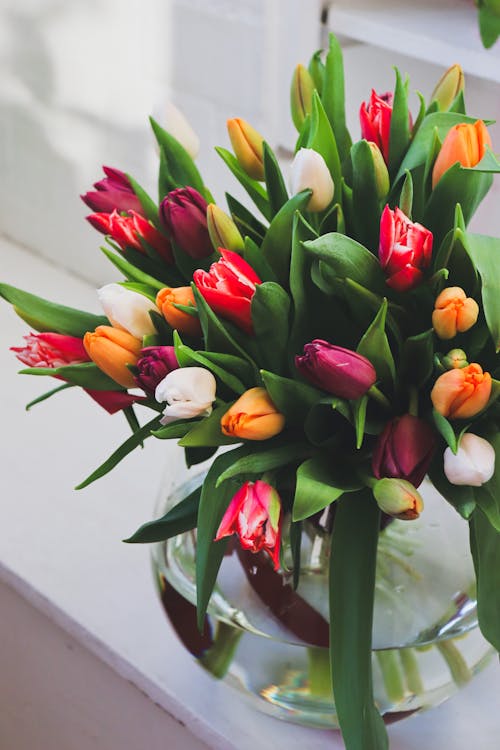 꽃, 부케, 색깔의 무료 스톡 사진
