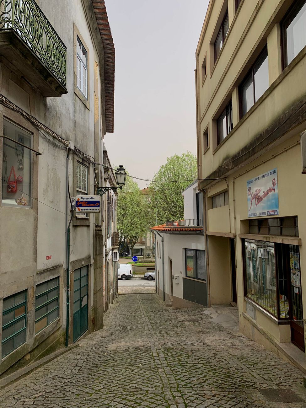 Oliveira do Bairro dynamise le « Campus de l'Âge d'Or »