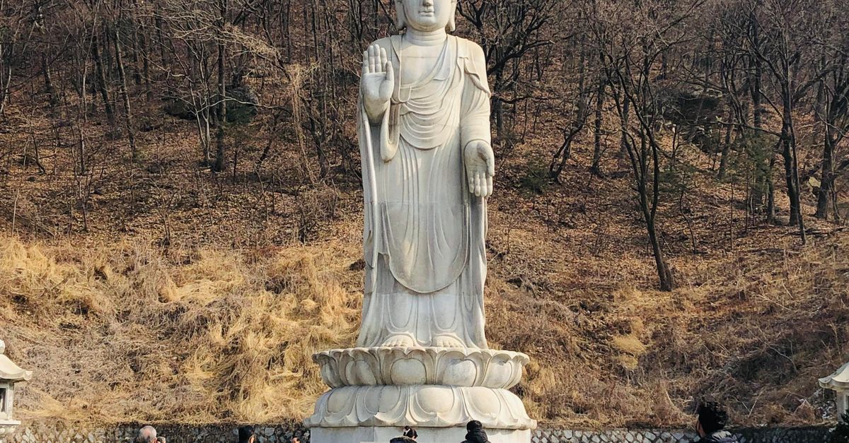 A Buddha statue set among trees on a forested hillside
