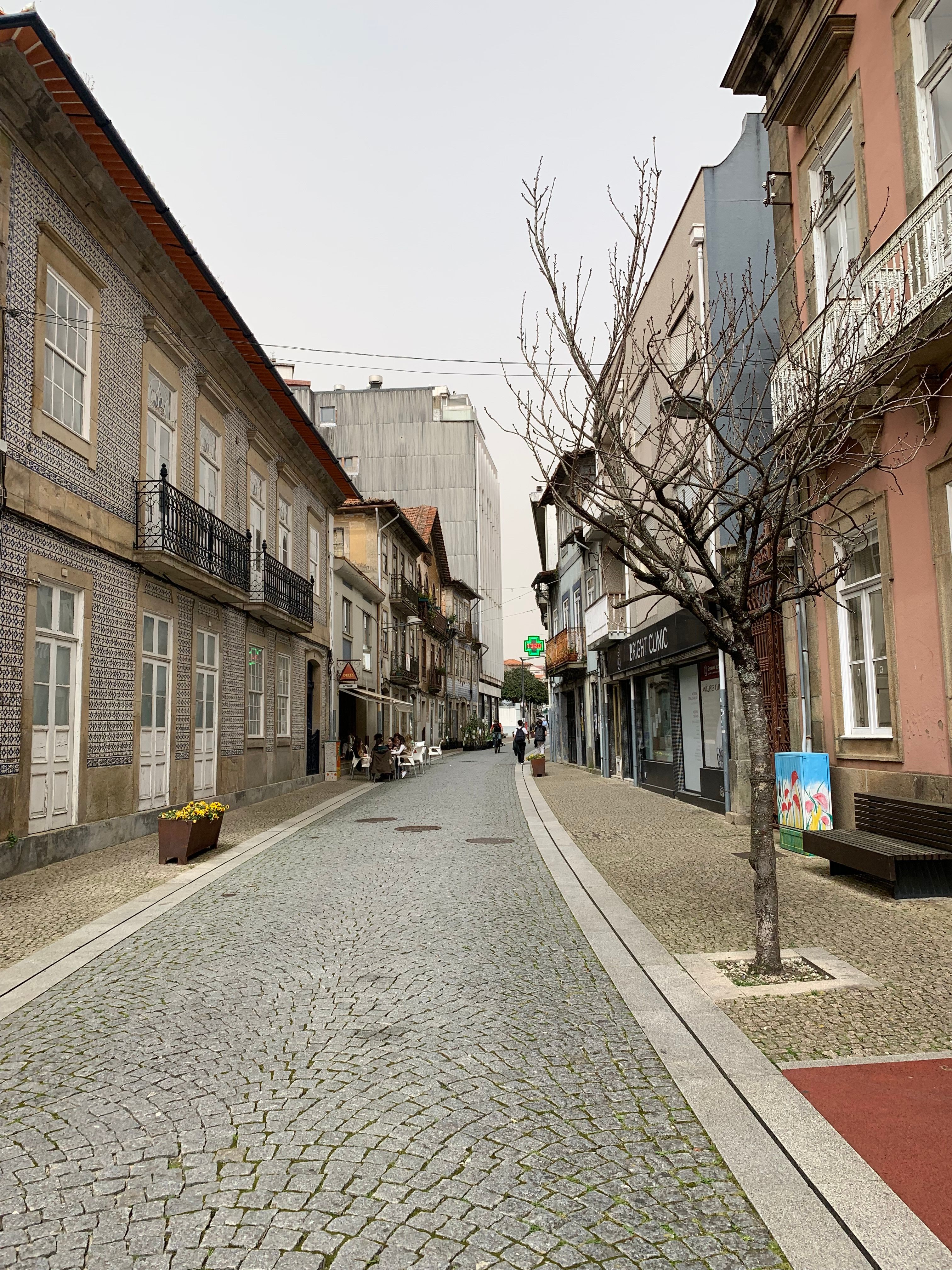 Cobblestone street in Oliveira de Azeméis, Portugal, showcasing classic architecture and a peaceful urban scene.