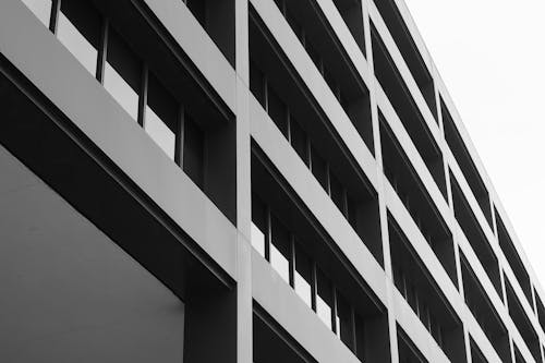 Black and white photo of a building with windows
