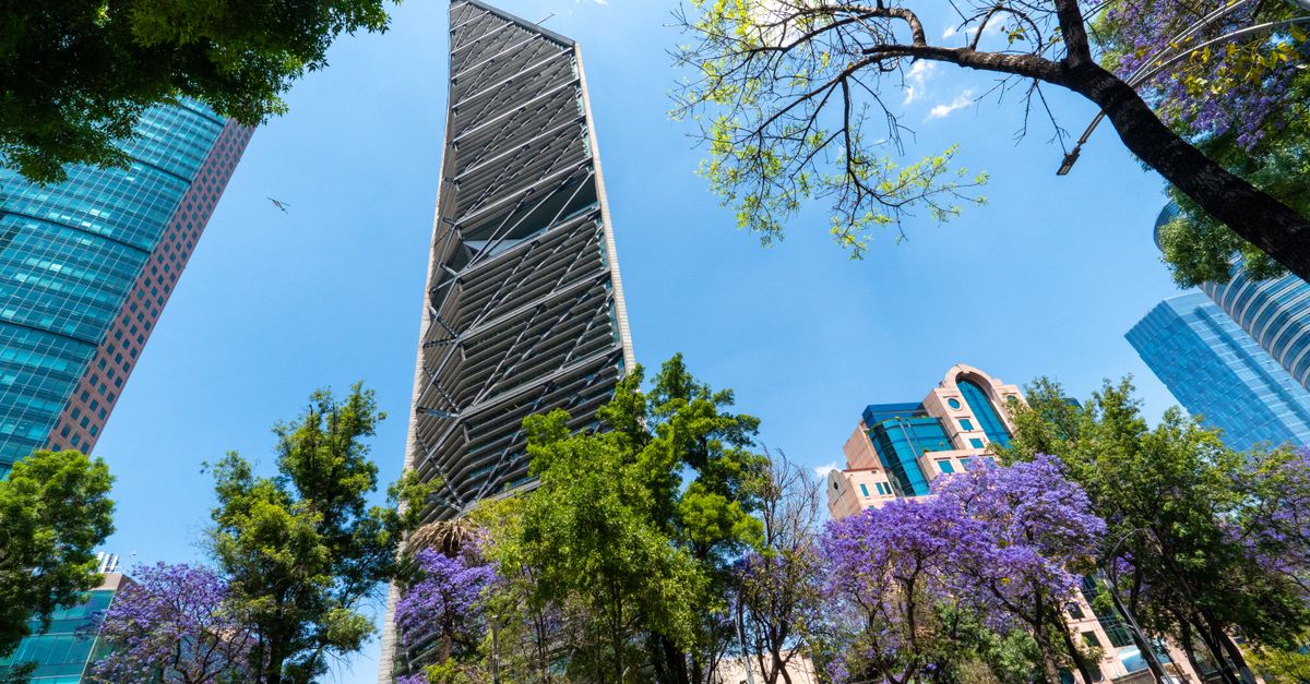 Bacardí desarrolla iniciativas sostenibles enfocadas en innovación industrial y expansión internacional premium Bacardí desarrolla iniciativas sostenibles enfocadas en innovación industrial y expansión internacional premium