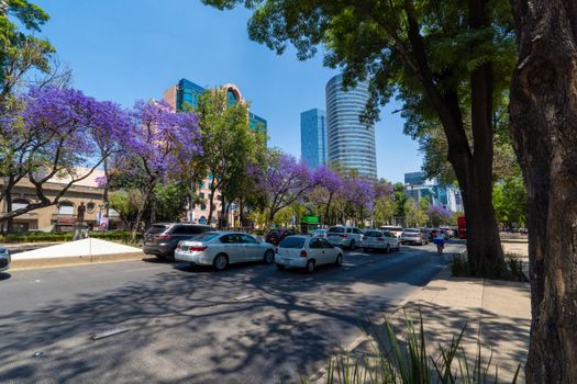 Coyoacán neighbourhood walk — Mexico City