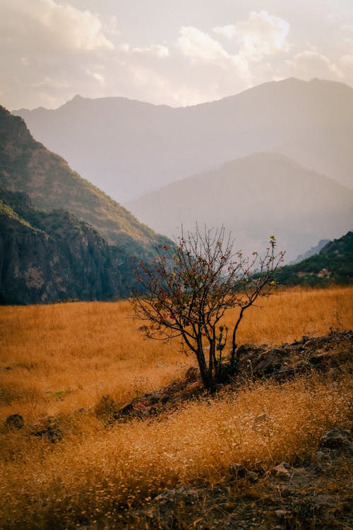 垂直拍摄, 天性, 山 的 免费素材图片